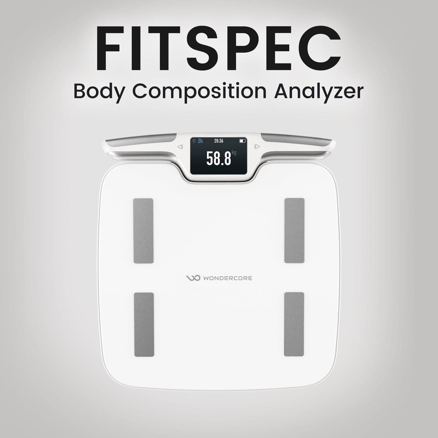 FitSpec Body Fat Scale