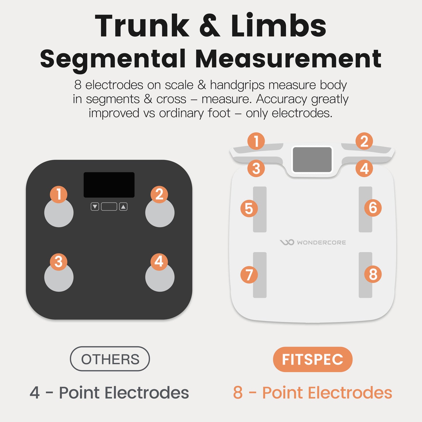 FitSpec Body Fat Scale