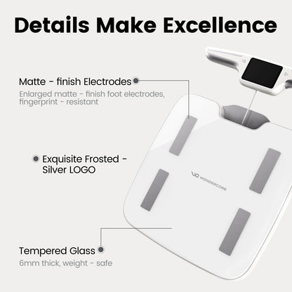FitSpec Body Fat Scale
